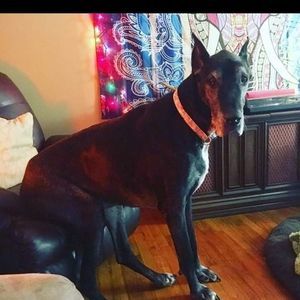 Meet your Posher, Katherine